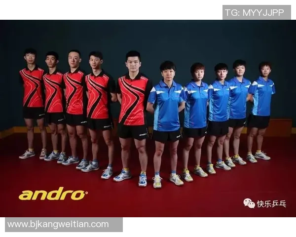 成都乒乓球队配合技巧深度解析与其他球队的对比研究