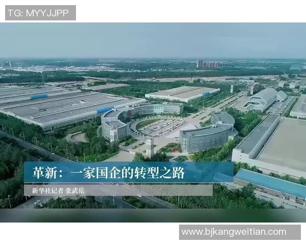 杭州乒乓球队快攻革新之路：技术突破与战术演变的深度剖析