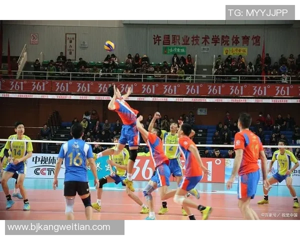 武汉排球队团队协作的独特优势与其他球队的对比分析